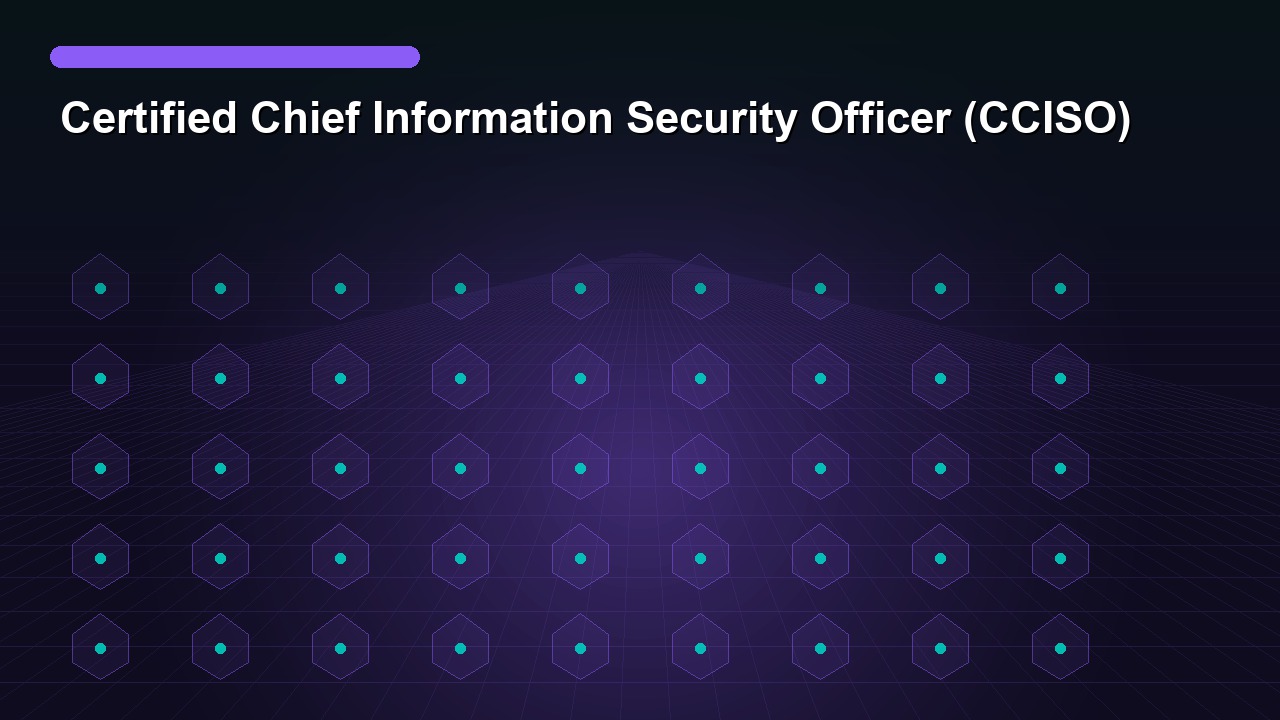 Certified Chief Information Security Officer (CCISO)