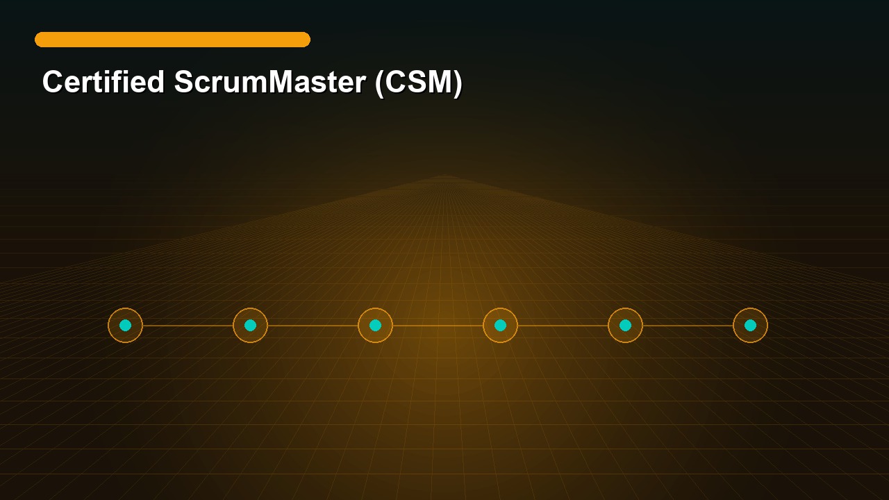 Certified ScrumMaster (CSM)