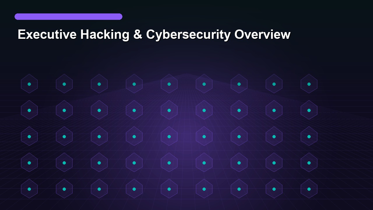 Executive Hacking & Cybersecurity Overview