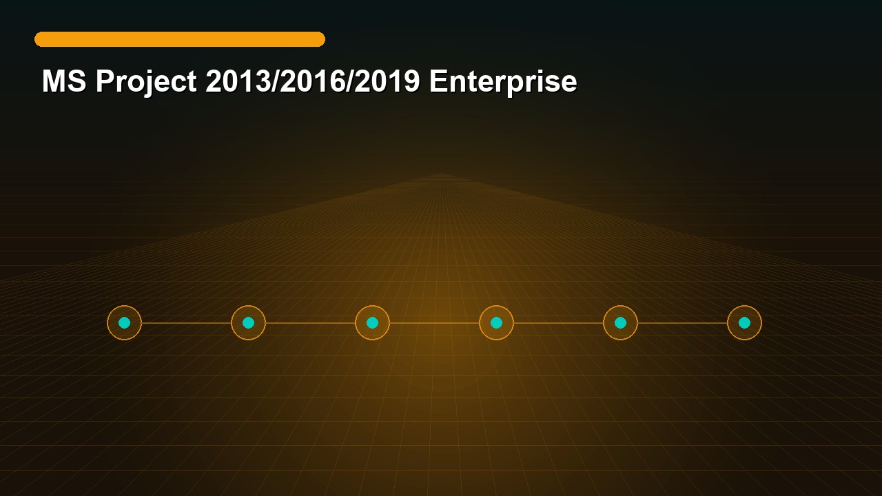 MS Project 2013/2016/2019 Enterprise